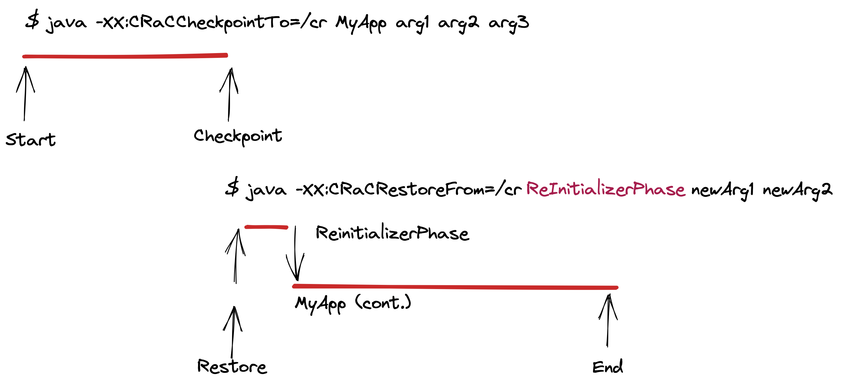 Checkpoint/Restore with ReInitializer phase